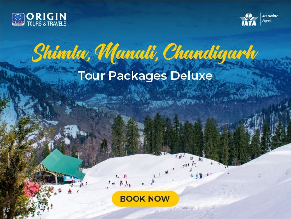 delhi chandigarh shimla manali tour package