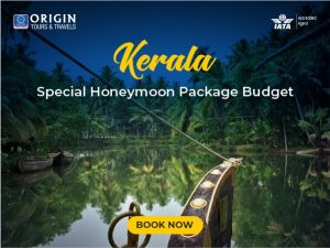 Kerala Special Honeymoon Package Budget
